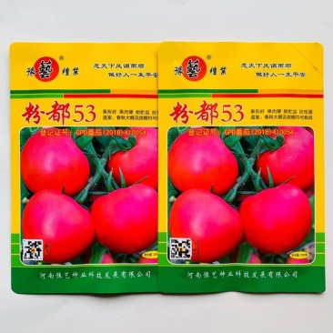 豫艺粉都53番茄种子无限生长型抗性强耐低温性好粉红果西红