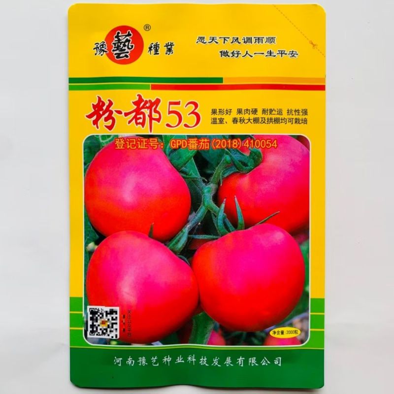 豫艺粉都53番茄种子无限生长型抗性强耐低温性好粉红果西红