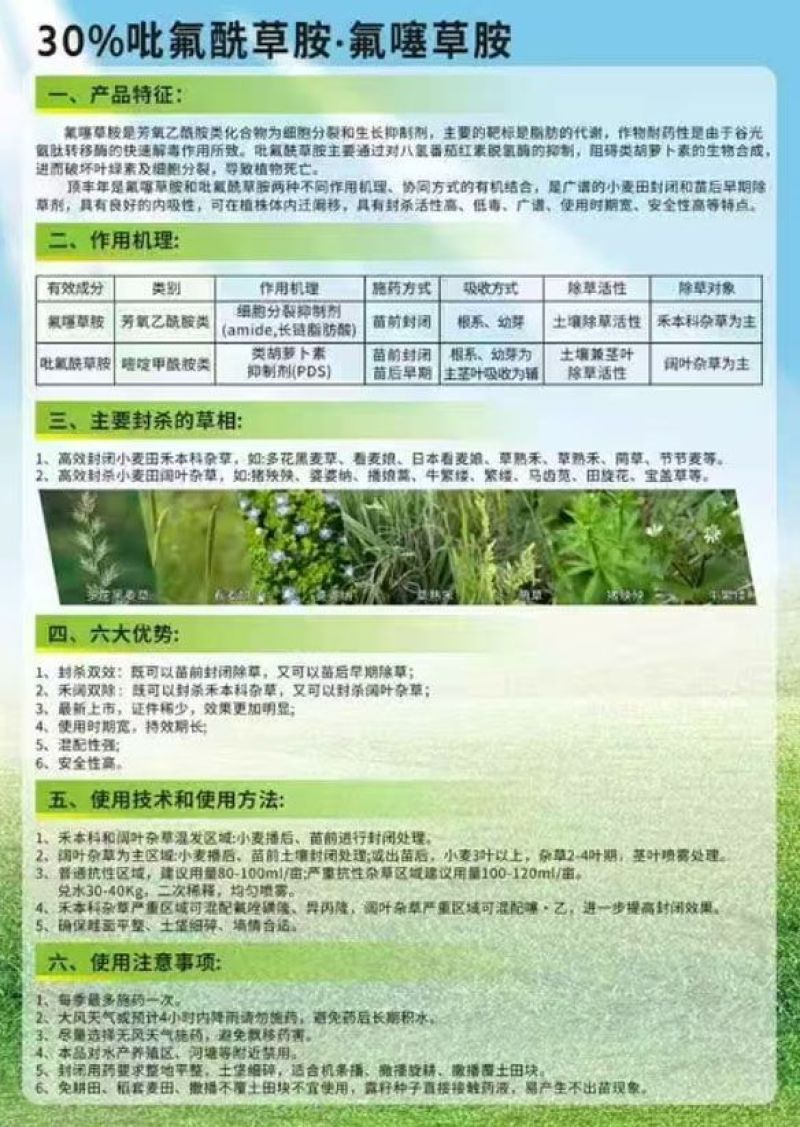 多花黑麦草-吡氟酰草胺.氟噻草胺，苗前封闭除草剂