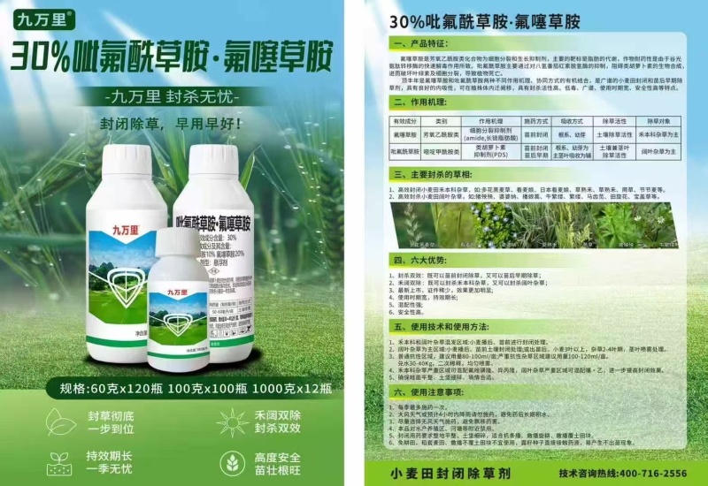 多花黑麦草-吡氟酰草胺.氟噻草胺，苗前封闭除草剂
