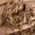中药野生蚂蚱干货批发烘干蚂蚱蚂蚱干中药蚂蚱蝗虫干鸟
