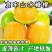 橙子冰糖橙皮薄多汁现摘现发支持一件代发电商商超