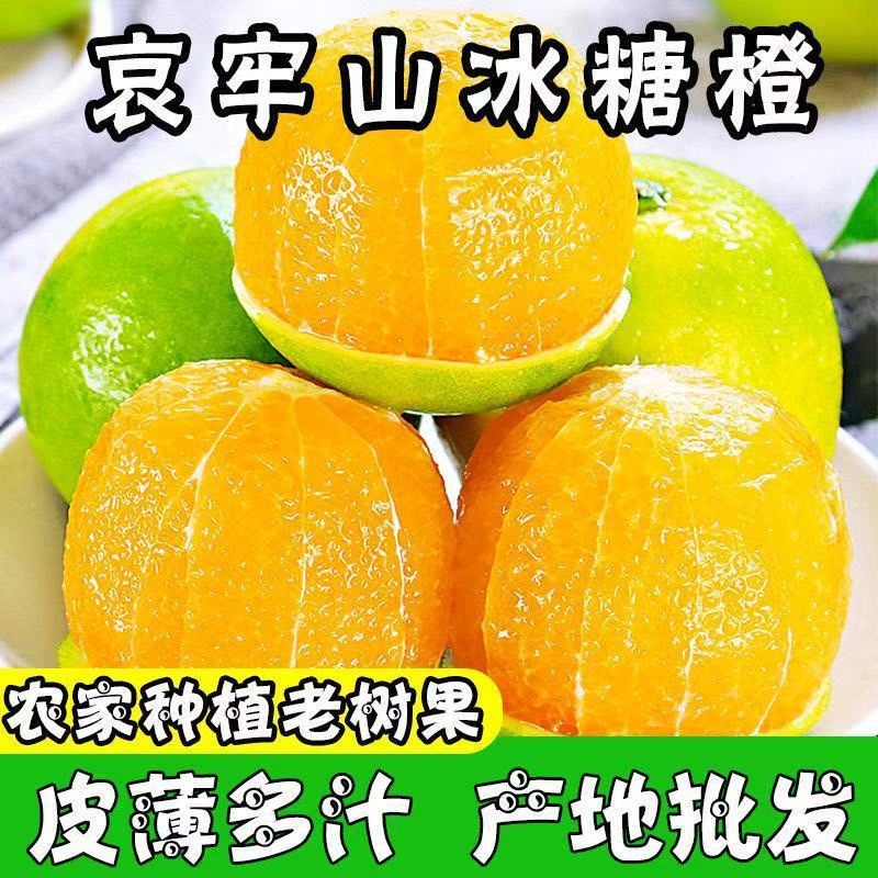 橙子冰糖橙皮薄多汁现摘现发支持一件代发电商商超