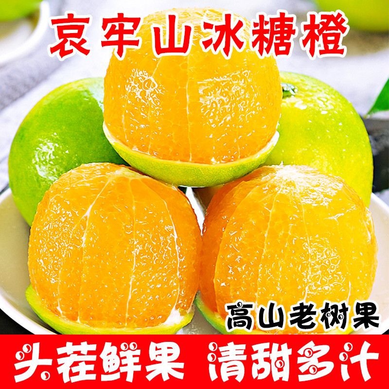 橙子冰糖橙皮薄多汁现摘现发支持一件代发电商商超