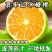 橙子冰糖橙皮薄多汁现摘现发支持一件代发电商商超