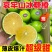 橙子冰糖橙皮薄多汁现摘现发支持一件代发电商商超