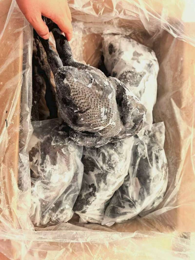 乌鸡