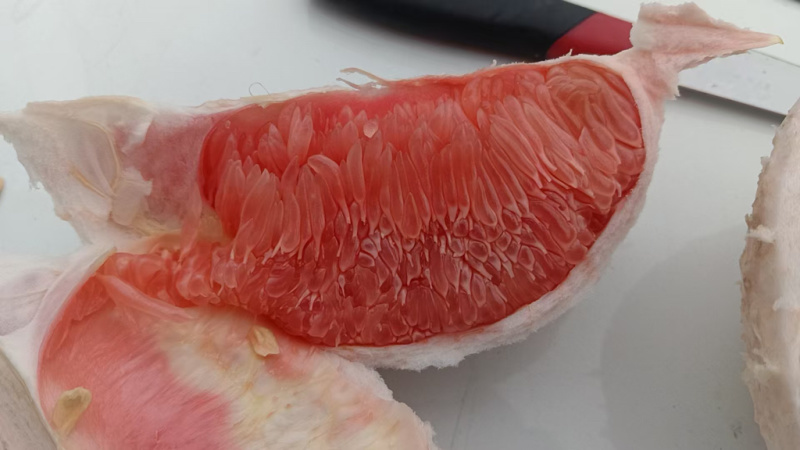三红柚四川精品三红柚柚子皮薄多汁现摘现发代发全国