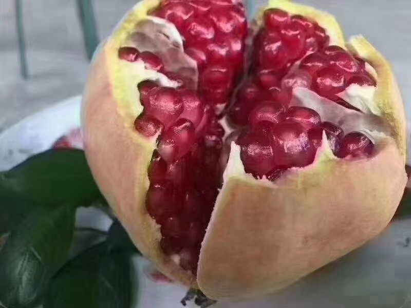 临潼石榴，汁多味甜
