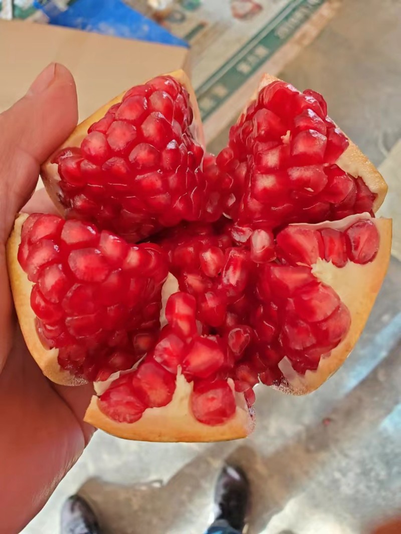 临潼石榴，汁多味甜
