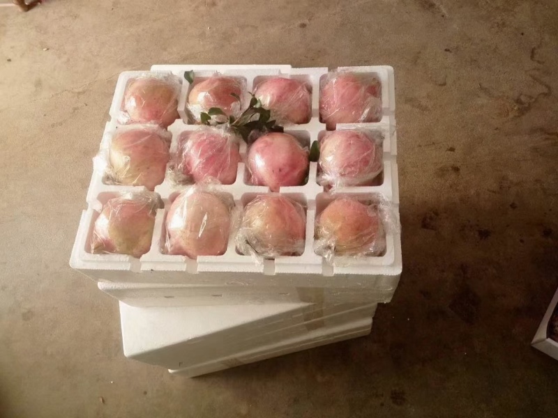 临潼石榴，汁多味甜