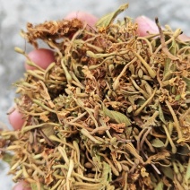 贵州安龙金银花味道清香