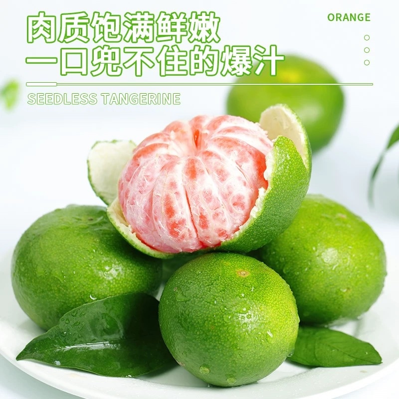 湖北宜昌蜜桔橘子柑橘桔子产地一手货源价格便宜
