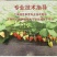 纯种脱毒穴盘苗