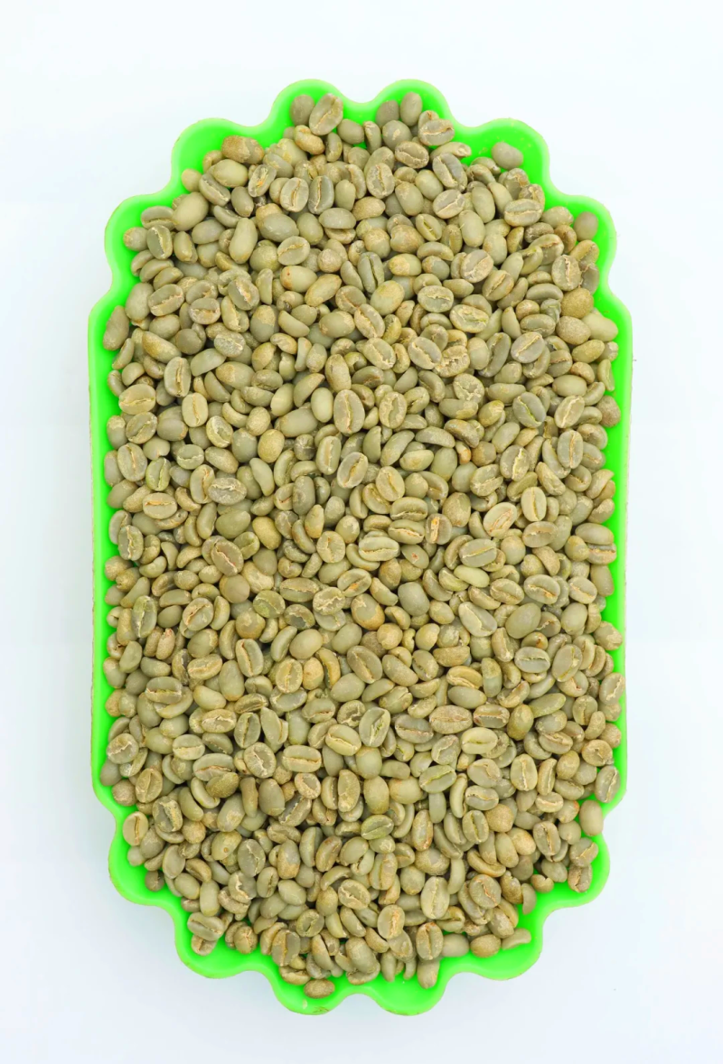 云南高海拔高山全红果卡蒂姆咖啡生豆批发精品