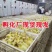 皖西大三花浙东产蛋鹅包疫苗包运输