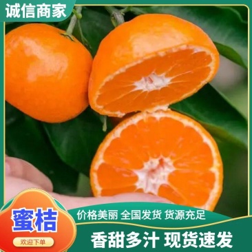 宜昌万亩果园高山蜜桔全国发货橘子市场批发电商商超可对接
