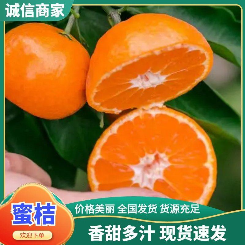 宜昌万亩果园高山蜜桔全国发货橘子市场批发电商商超可对接