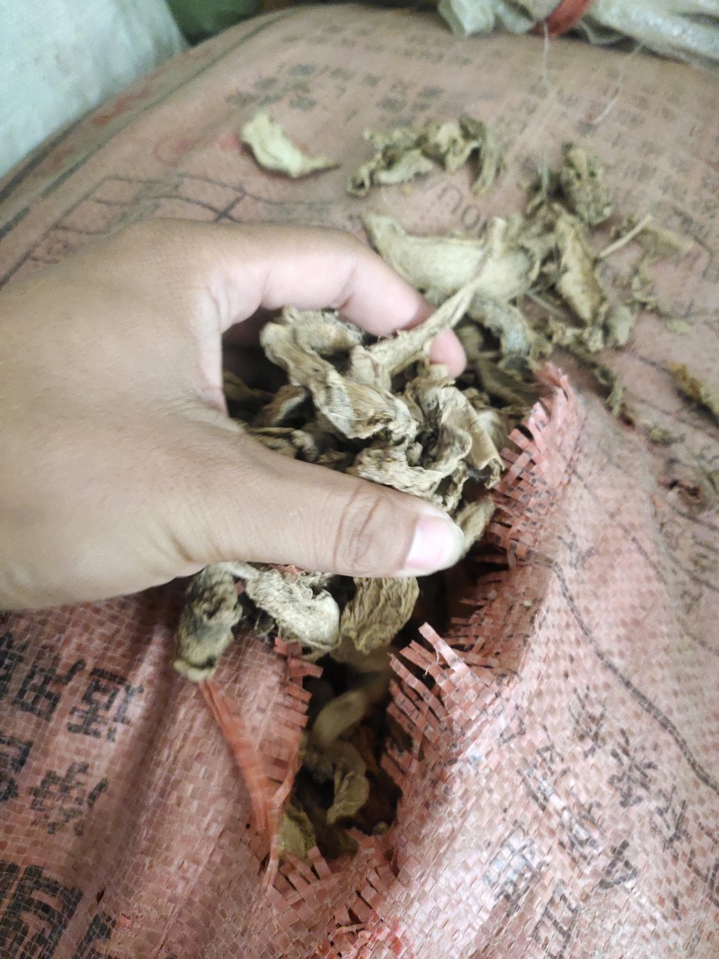 姜片山东姜片价格药材姜片产地批发姜片批发