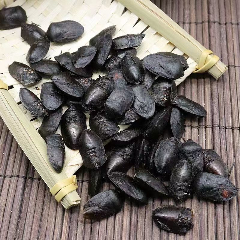 云南九香虫臭板虫野生九香虫正品打屁虫臭屁巴虫臭壳子虫批发