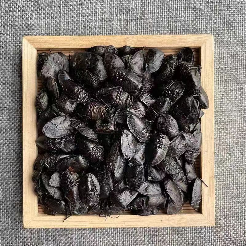 云南九香虫臭板虫野生九香虫正品打屁虫臭屁巴虫臭壳子虫批发