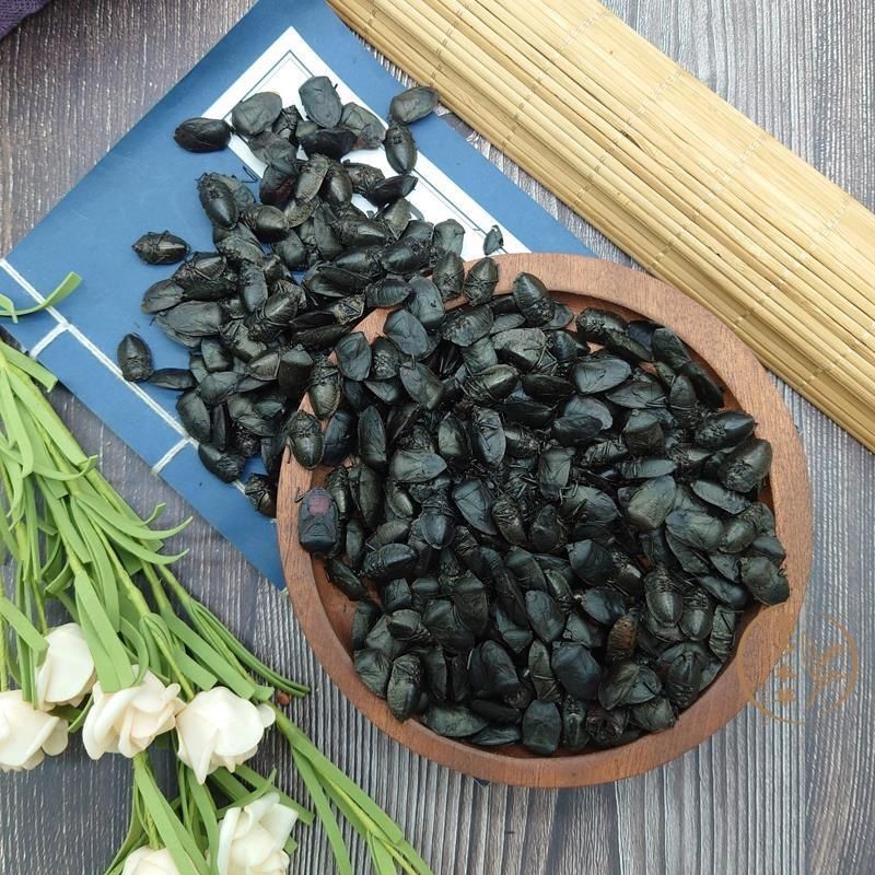 云南九香虫臭板虫野生九香虫正品打屁虫臭屁巴虫臭壳子虫批发