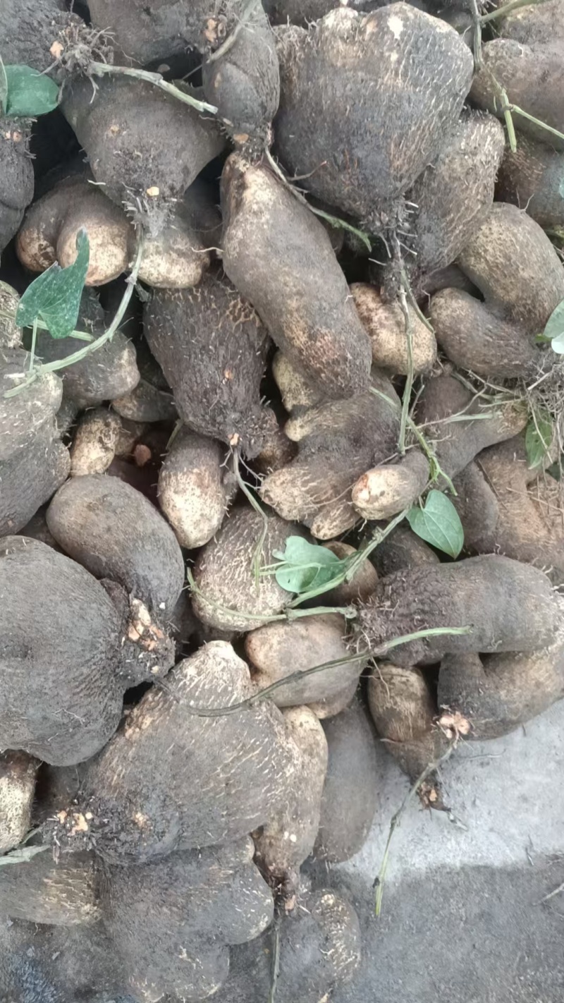 白板暑