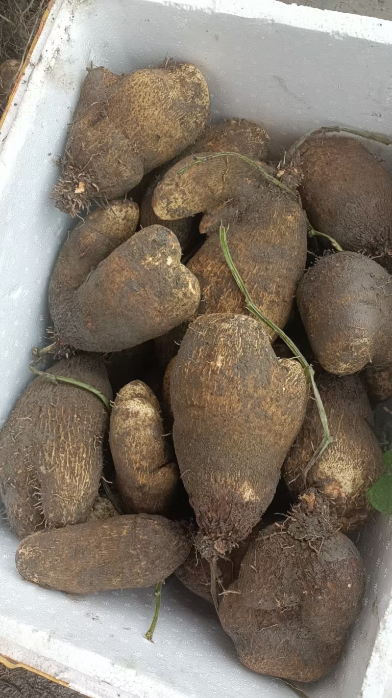 白板暑