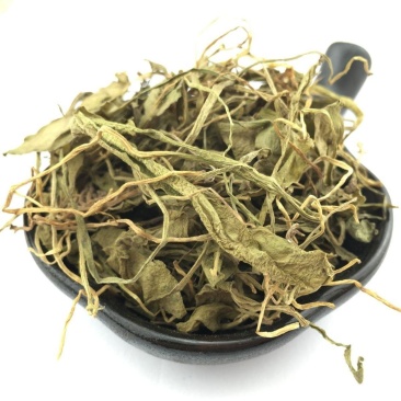 带根蛇须草蛇咬子干货一支箭整株带根全草青藤蛇咬子瓶尔小草