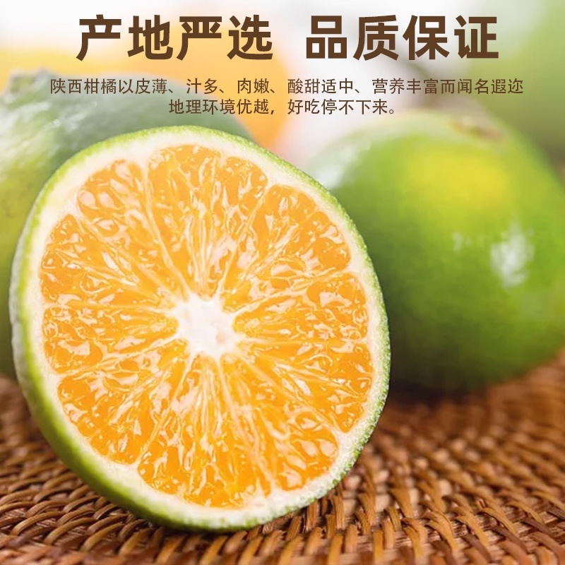 城固蜜橘全国发货电商货一件代发代办代购