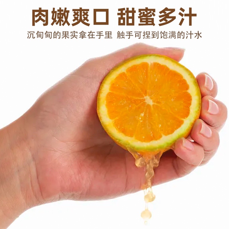 城固蜜橘全国发货电商货一件代发代办代购