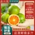 城固蜜橘全国发货电商货一件代发代办代购