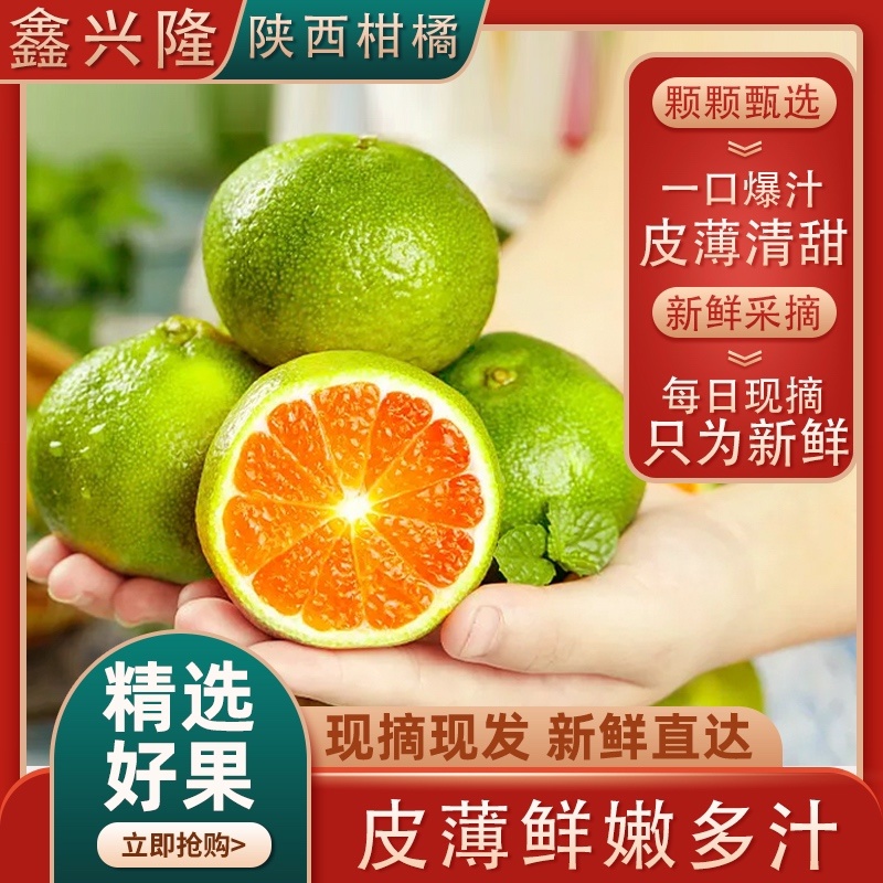 城固蜜橘全国发货电商货一件代发代办代购