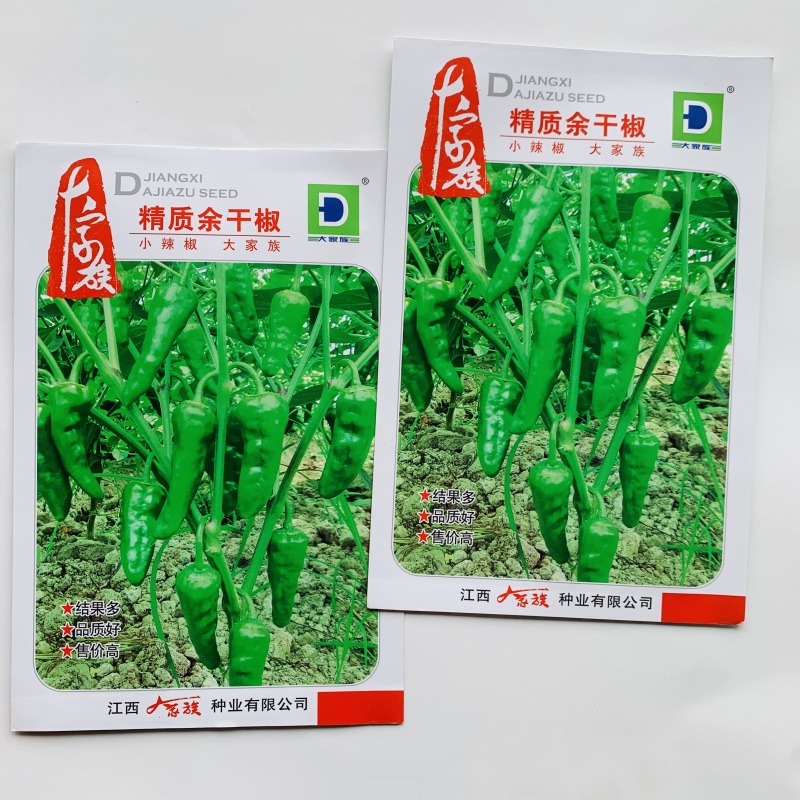 精质余干椒种子高产香辣薄皮大果余干椒早熟皮薄质脆辣椒种子
