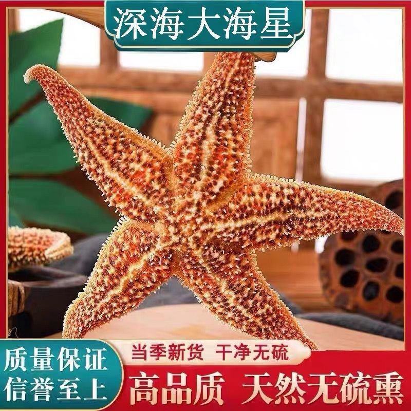 海星干无硫刺棘正品五星海盘车干货滋补煲汤海星海星
