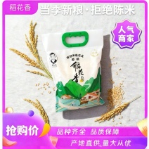 新米上市稻花香二号大米价格探底保质保量欢迎咨询采购