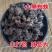 中药材蜘蛛药用包邮无硫熏、产品齐全欢迎采购