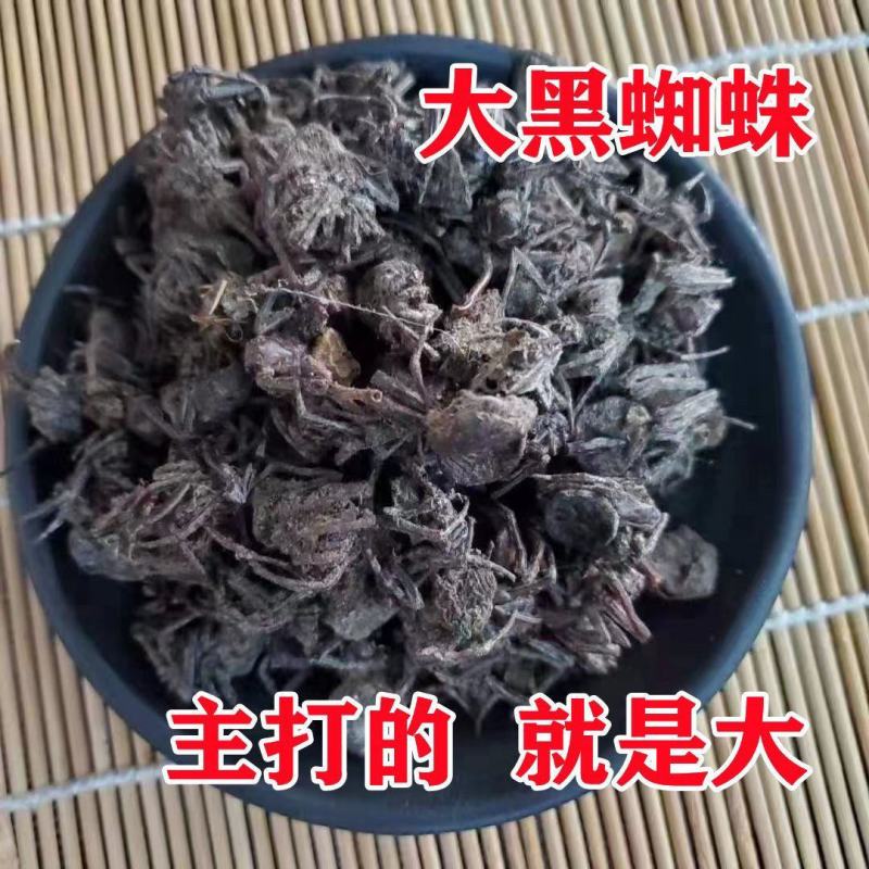 中药材蜘蛛药用包邮无硫熏、产品齐全欢迎采购