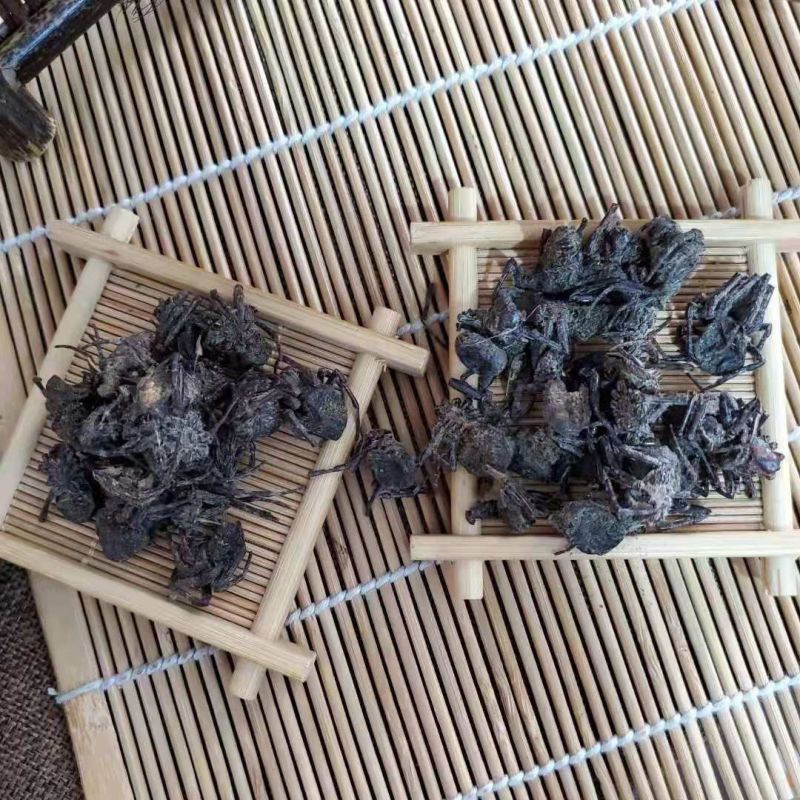 中药材蜘蛛药用包邮无硫熏、产品齐全欢迎采购