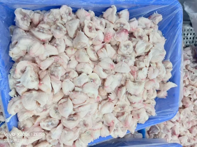鸡尾