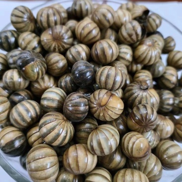 滚山虫中药材滚山珠地罗汉千足虫野生原生态千足虫散装正品纯
