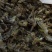 蜻蜓中药规格***干品绿蜻蜓黑蜻蜓药用大蜻蜓野生原生