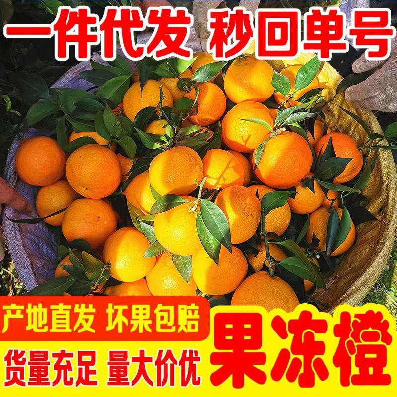 【现货一件代发】四川爱媛38号果冻橙大量支平台代发
