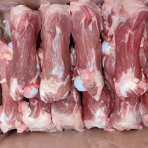 肥猪后腿骨