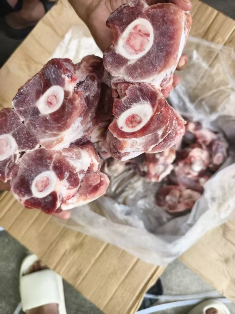 肥猪后腿骨