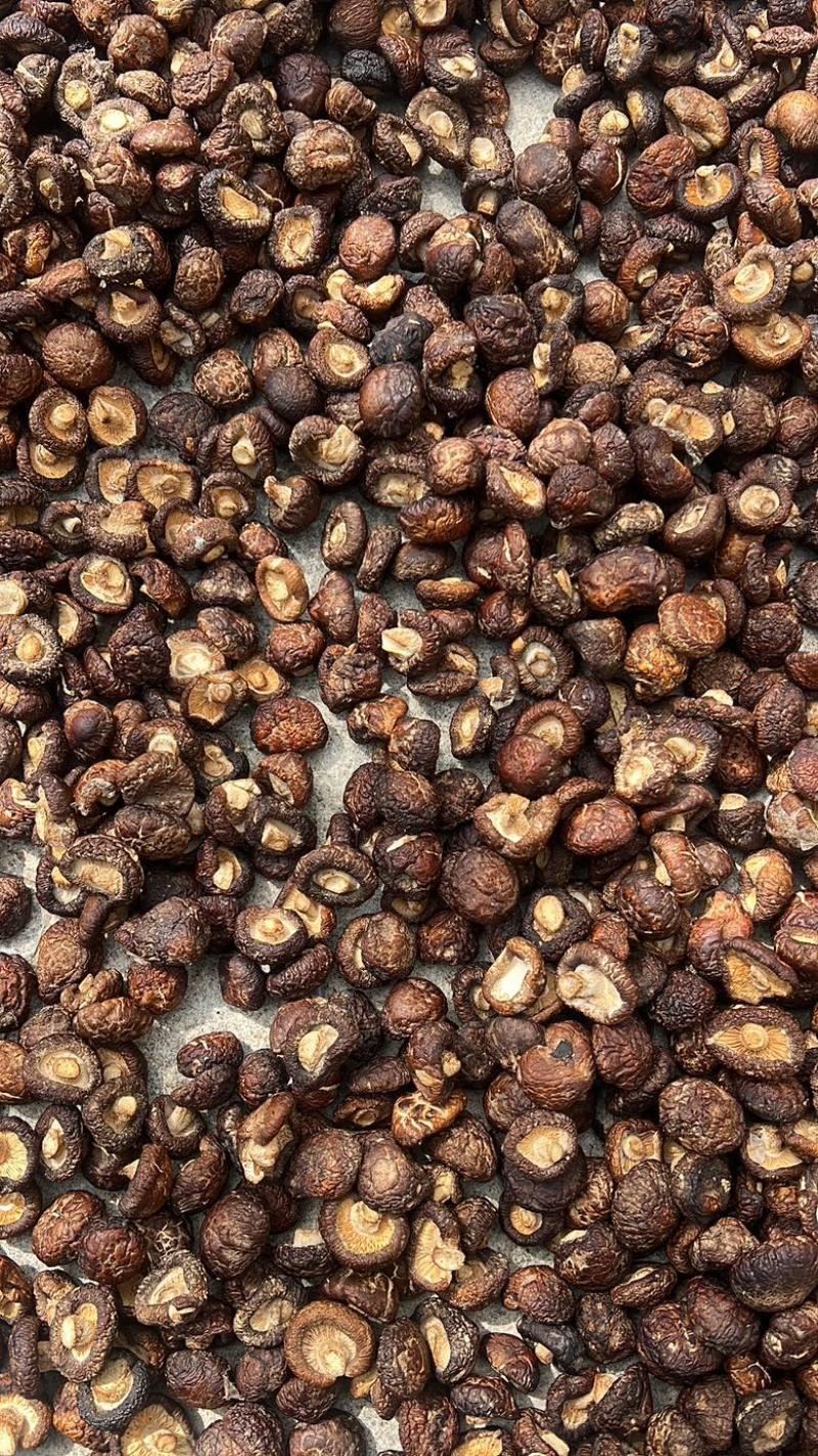精品黑面菇人工挑选肉厚产地直发各种规格