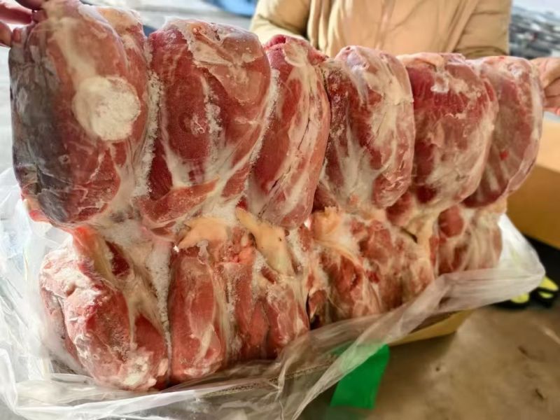 母猪内腱