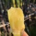 【放心购买】黑皮甘蔗广西甘蔗基地直供量大从优欢迎下单