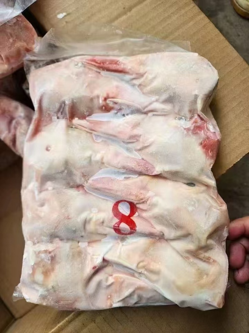 一级鸭头8头