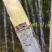 【放心购买】黑皮甘蔗广西甘蔗基地直供量大从优欢迎下单